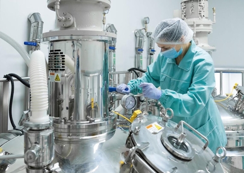 IEL abre 60 vagas para estágio