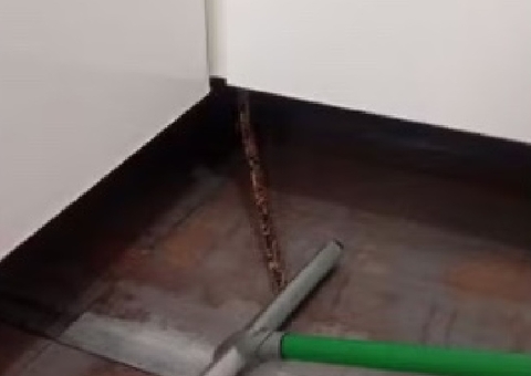 Pedaço de pia é confundido com cobra e causa pânico em Manaus; vídeo