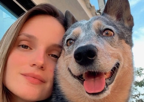 Cachorro sobrevive a acidente e fica ao lado de tutora que morreu no ES