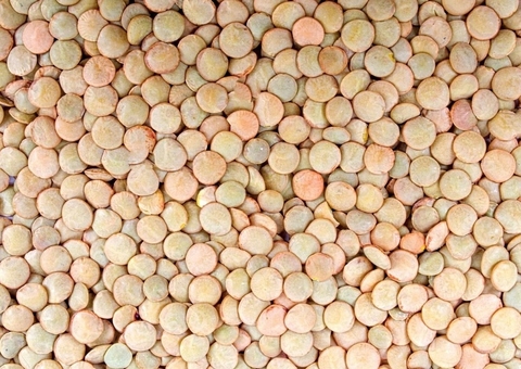 Moedas no Prato: Por que a lentilha é o ingrediente indispensável da virada do ano