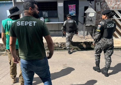 Cadela de rua não resistiu a abusos sexuais e morreu em Manaus