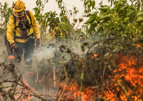 Queimadas caem ao menor nível em 23 anos no Amazonas, diz Inpe