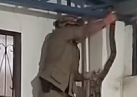 Jiboia aparece em telhado de shopping e surpreende funcionários no Amazonas; vídeo