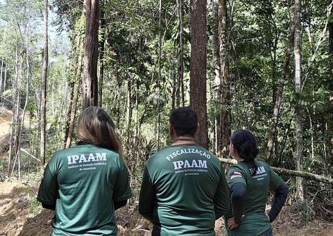 Ipaam suspende exploração de madeira no Amazonas a partir desta quinta
