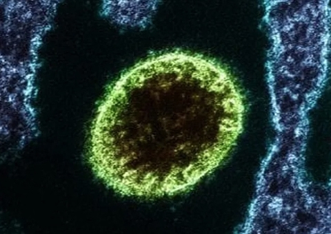 Índia registra surto de vírus letal e coloca autoridades de saúde em alerta