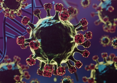 Sem vacina e com alto risco: entenda o vírus Nipah que preocupa autoridades