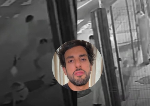 Homem se irrita com latidos de cão comunitário e atira 10 vezes contra ele em SP