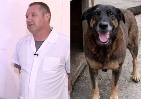 Laudo reforça crueldade e derruba versão de fatalidade na morte do cão 'Ore