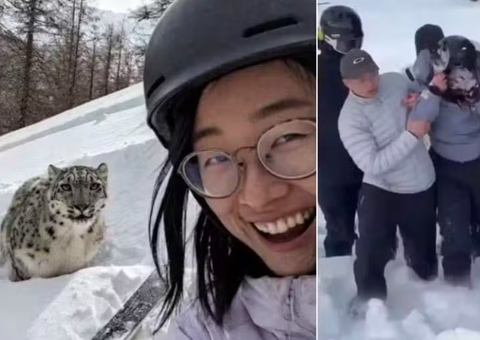 Turista é atacada por leopardo-da-neve após tentar tirar selfie com animal na China