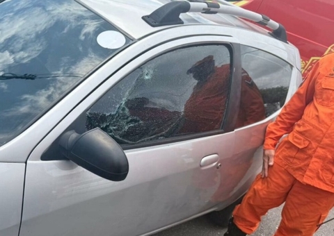 Criança de 5 anos é resgatada após ficar presa dentro de carro no Adrianópolis