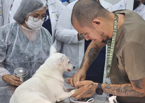 Check-up pode salvar a vida do seu pet; especialistas reforçam alerta
