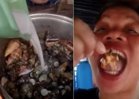 Influenciadora morre após comer "caranguejo-do-diabo"; veja vídeo