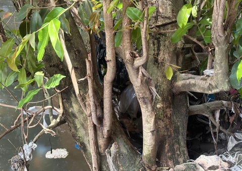 Segunda perna humana é encontrada no Novo Aleixo após ocorrência no Centro