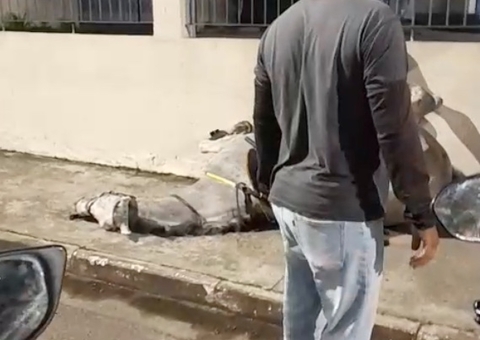 Fogos de artifício provocam acidente de cavalo e policial em Manaus