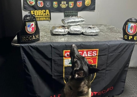 Homem é preso com 8 kg de maconha skunk em barco que vinha de Tefé