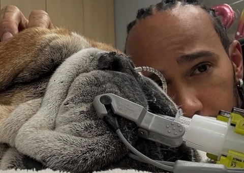 Cão de Hamilton é internado e piloto desabafa: 'Não sabemos se vai acordar'