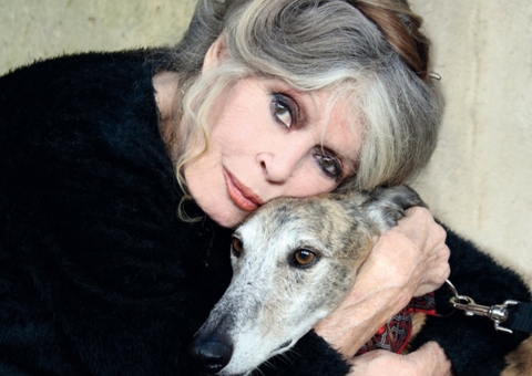 Morre Brigitte Bardot, lenda do cinema francês, aos 91 anos