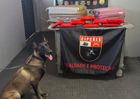 Cadela policial foi quem achou 9 quilos de cocaína em embarcação em Coari