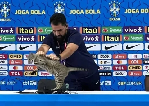 Corinthians contrata assessor que arremessou gato em coletiva da Seleção