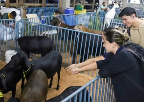Expoagro segue até dia 5 com negócios, cultura e entretenimento em Manaus