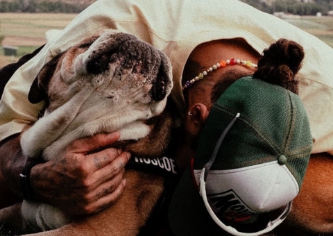 Morre Roscoe, cachorro do piloto Lewis Hamilton