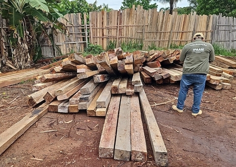 Dez empresas são multadas em R$ 7,3 milhões durante operação no Amazonas