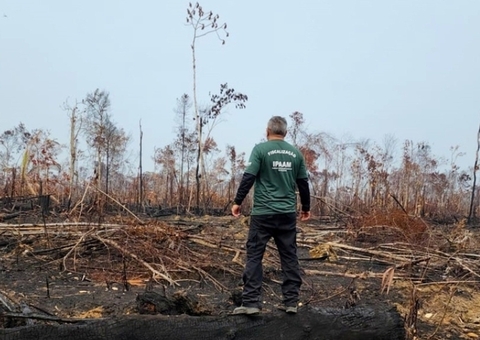 Amazonas concentra maior parte do desmatamento da Amazônia em 2024