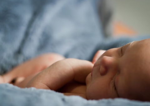 Brasil tem 404 mil Enzos, aponta IBGE