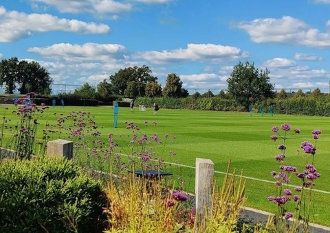 Clube da Premier League inaugura casas de morcego e hotéis de insetos em CT