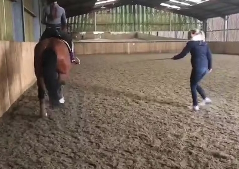 Campeã olímpica flagrada chicoteando cavalo é suspensa por um ano