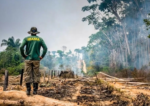 Justiça reforça que obrigação de recuperar área desmatada não implica dever automático de indenizar