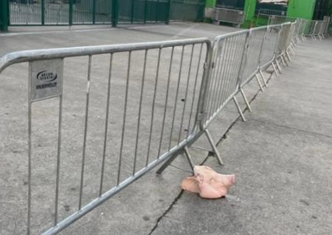 Cabeça de porco é deixada no Allianz antes de Palmeiras x Corinthians