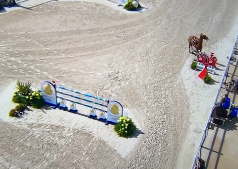 Cavalo refuga e derruba número 1 do mundo no hipismo; vídeo