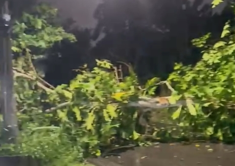 Temporal deixa ruas alagadas em Manaus; vídeo