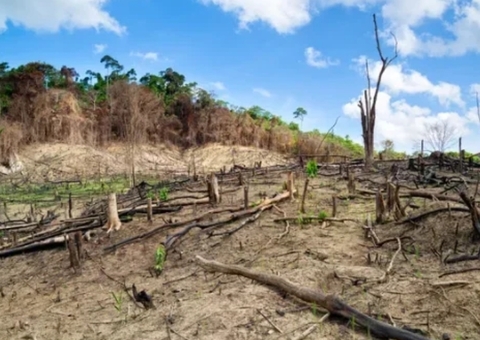 Réu é condenado a pagar R$ 2 milhões por desmatamento ilegal em Boca do Acre
