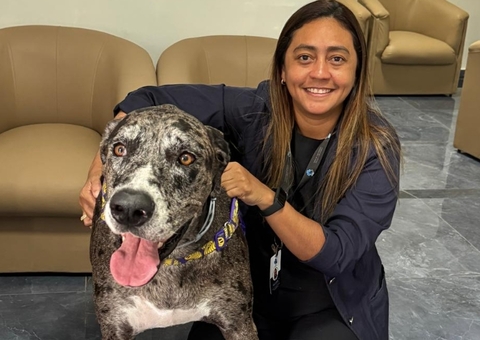 "Novembro Azul Pet" alerta para prevenção de câncer em cães e gatos