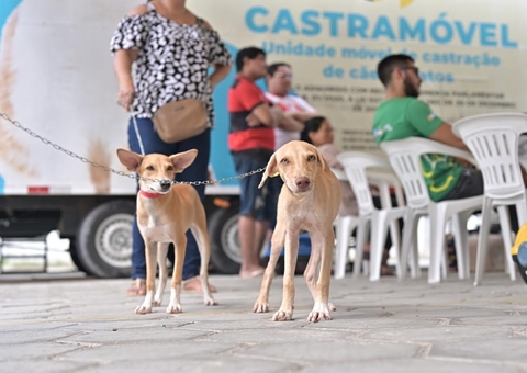 Carauari recebe Castramóvel pela 1ª vez com castração e vacinação gratuitas