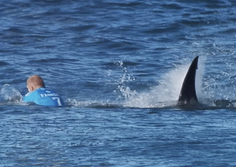 Ataque de tubarão há 10 anos ajudou lenda do surfe a mudar e ganhar milhões