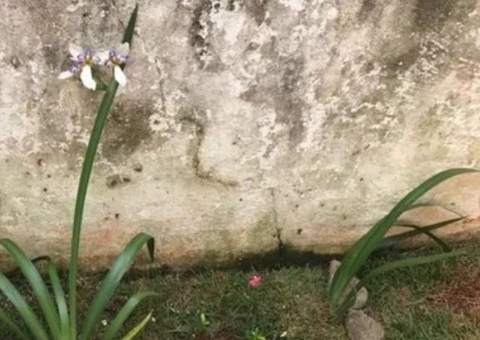 Família aluga casa e encontra proprietária desaparecida enterrada no jardim