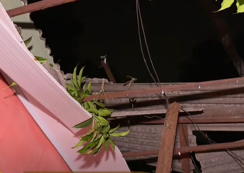Árvore desaba sobre casa durante forte temporal em Manaus