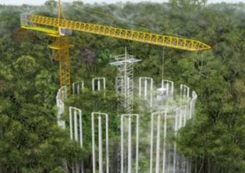 Inpa  revela que Inglaterra dará apoio financeiro à pesquisas na Amazônia 