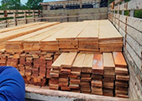 Homem é preso pela 2ª vez ao ser flagrado transportando madeira ilegal na AM-010