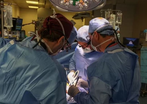 Morre primeiro homem a receber rim de porco em transplante  