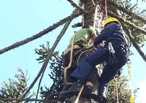 Homem sai para colher frutas e fica pendurado em árvore por 2 horas