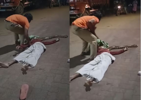 Homem bêbado quase é estrangulado ao botar cobra gigante no pescoço; vídeo