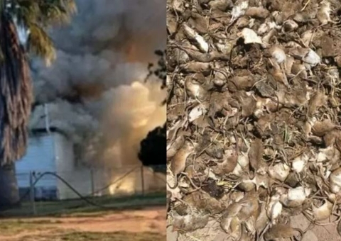 Família fica desabrigada após ratos roerem fios e causarem incêndio