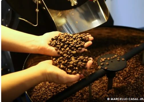 Clima e aumento do consumo devem manter preço do café em alta