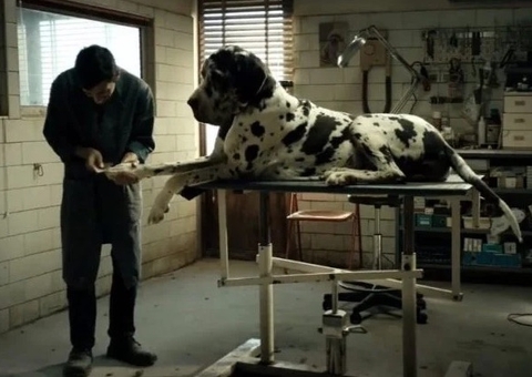 'Dogman' e 'Bob Cuspe' entram em cartaz no Cine Casarão, nesta quarta-feira