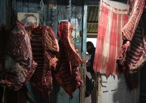 Operação prende grupo que vendia carne de cavalo para hamburguerias