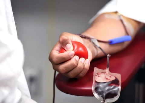 Corrente do bem: saiba quantas vezes por ano uma pessoa pode doar sangue